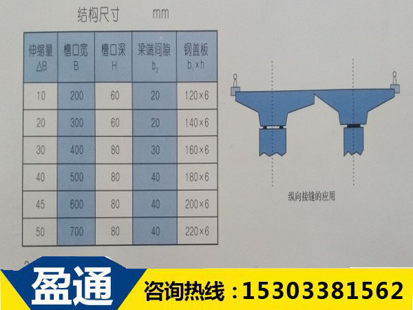 TST填充式橋梁接縫彈塑體的結(jié)構(gòu)尺寸圖