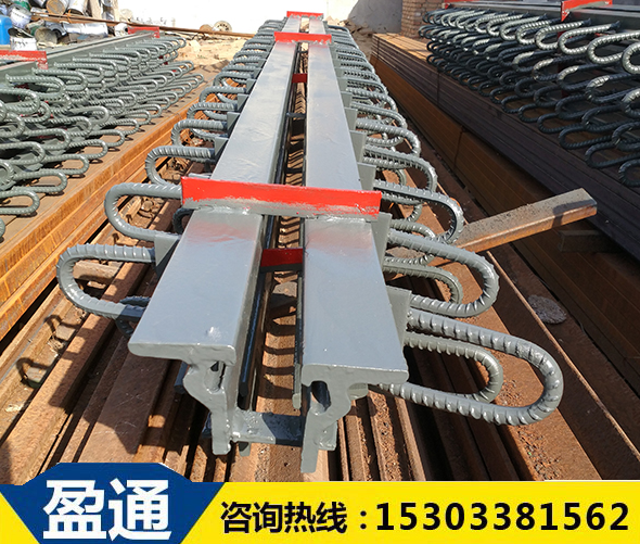 橋梁伸縮縫 橋梁伸縮縫