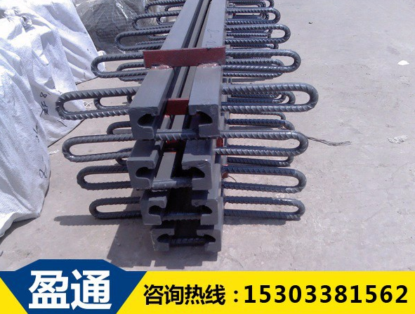 橋梁伸縮縫 橋梁伸縮縫