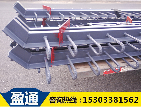 橋梁伸縮縫 橋梁伸縮縫