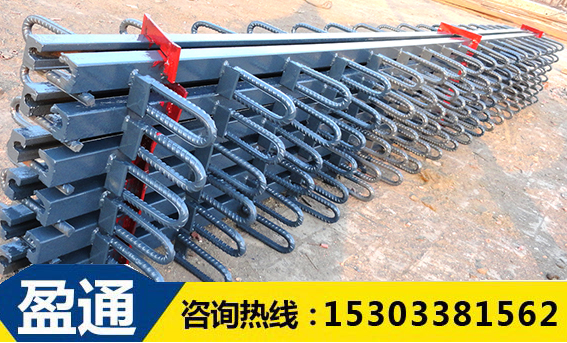 橋梁伸縮縫 橋梁伸縮縫