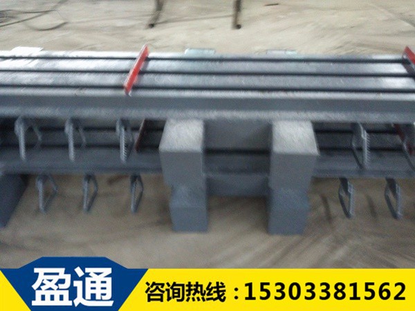 MZL-D240型模數(shù)式橋梁伸縮縫.jpg